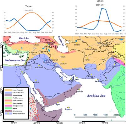 A Review of C4 Plants in Southwest Asia: An Ecological, Geographical and Taxonomical Analysis of a Region With High Diversity of C4 Eudicots